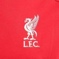 ADIDAS Liverpool FC DNA เสื้อยืดฟุตบอลผู้ชาย