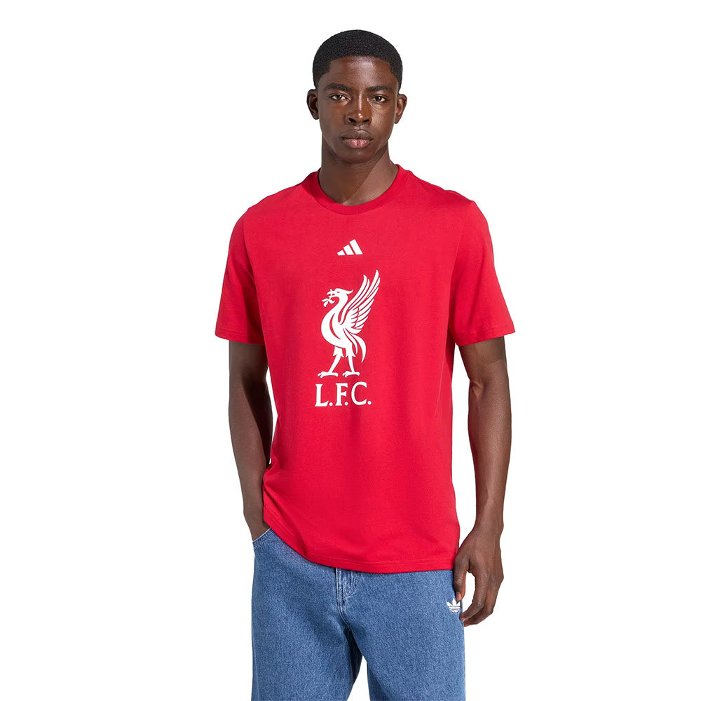 ADIDAS Liverpool FC DNA Graphic เสื้อยืดฟุตบอลผู้ชาย