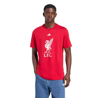 ADIDAS Liverpool FC DNA Graphic เสื้อยืดฟุตบอลผู้ชาย