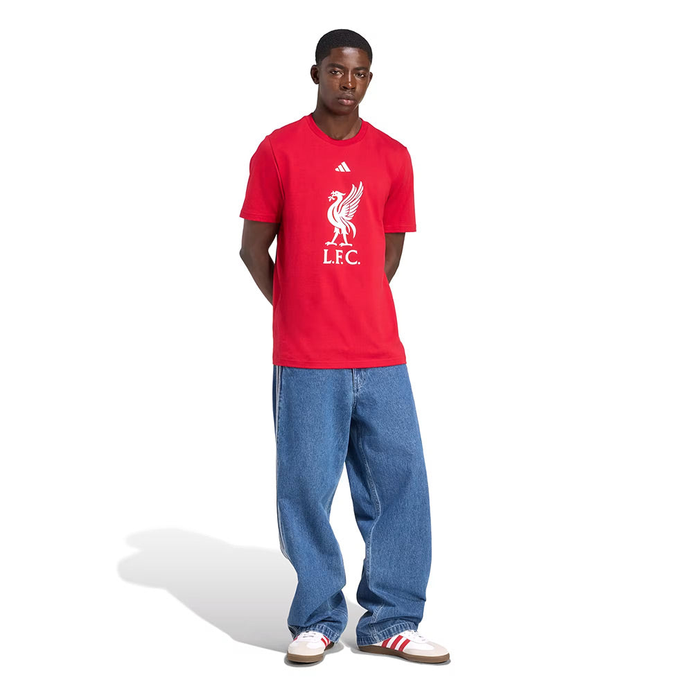 ADIDAS Liverpool FC DNA Graphic เสื้อยืดฟุตบอลผู้ชาย