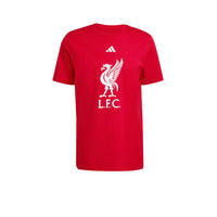 ADIDAS Liverpool FC DNA Graphic เสื้อยืดฟุตบอลผู้ชาย