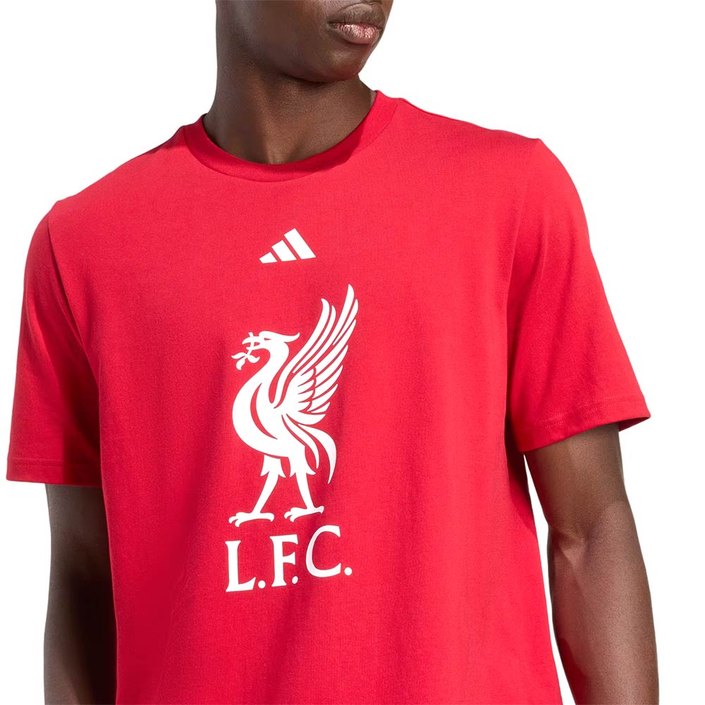 ADIDAS Liverpool FC DNA Graphic เสื้อยืดฟุตบอลผู้ชาย