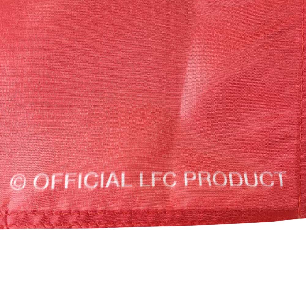 LFC EPL Champions 2024/25 ธง