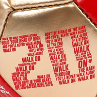 LFC Champions Football Size 1 Football ball