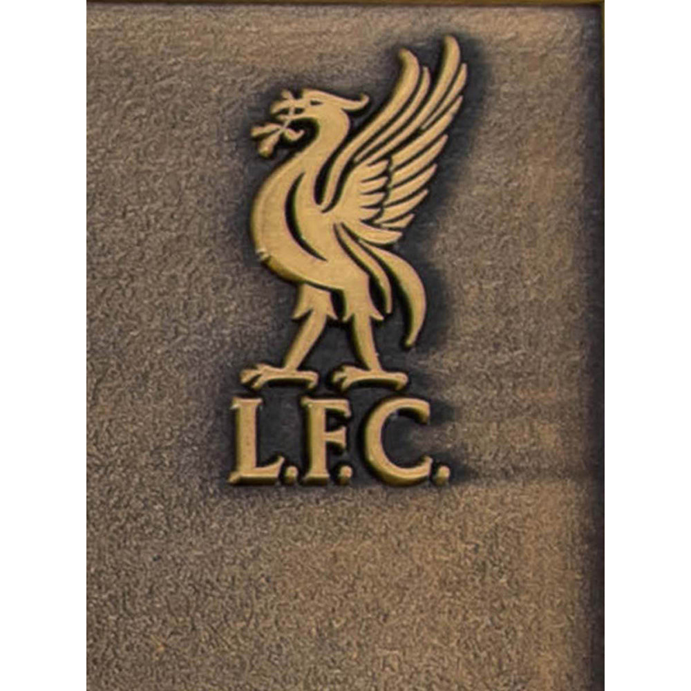 LFC Champions League Final 2019 Collectible Ticket