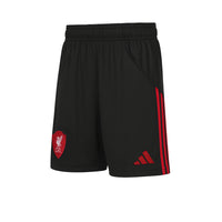ADIDAS Kids Liverpool FC Away 2025/26 Football Shorts