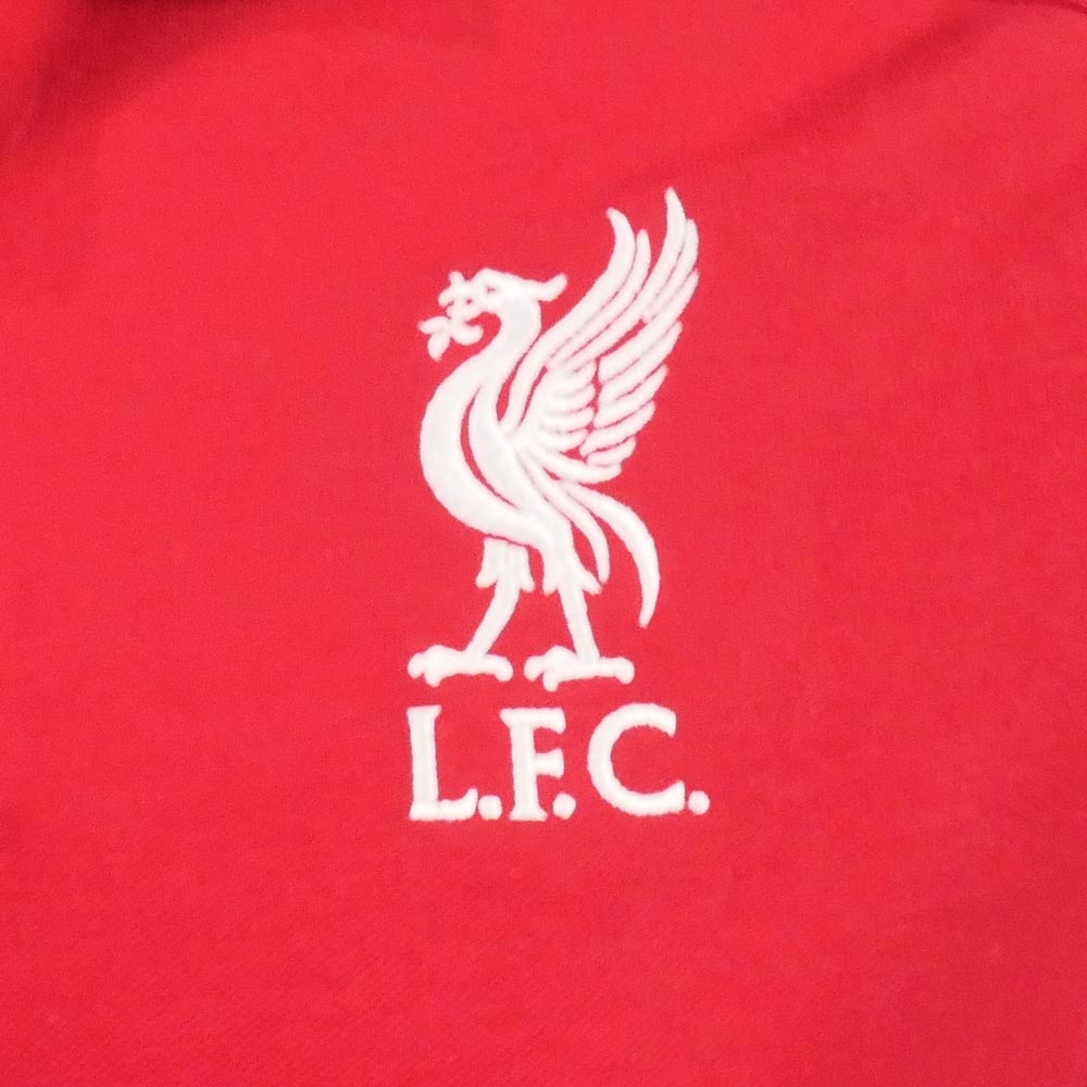 ADIDAS Liverpool FC DNA Men's Football Polo Shirt