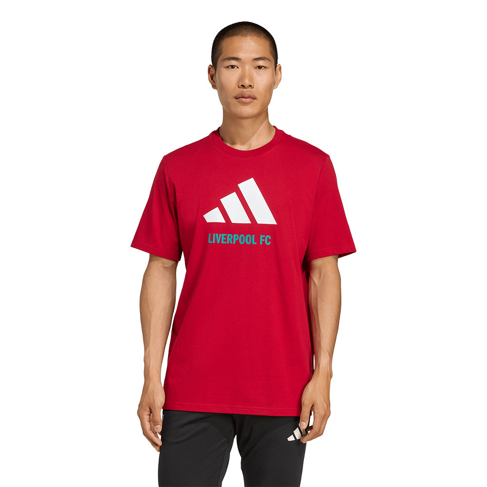 ADIDAS Liverpool FC Seasonal Graphic Men's T-Shirt
