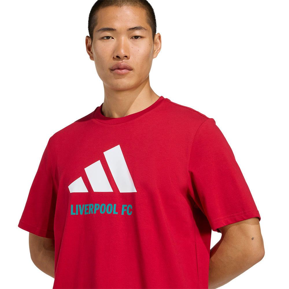 ADIDAS Liverpool FC Seasonal Graphic Men's T-Shirt