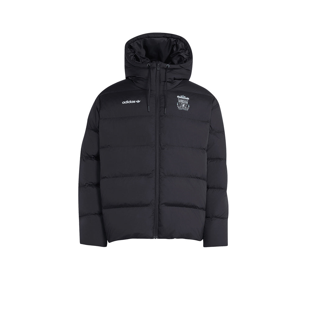 ADIDAS Liverpool FC EQT Down Men's Jacket