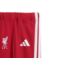 ADIDAS Liverpool FC DNA ชุดเซ็ตเด็ก
