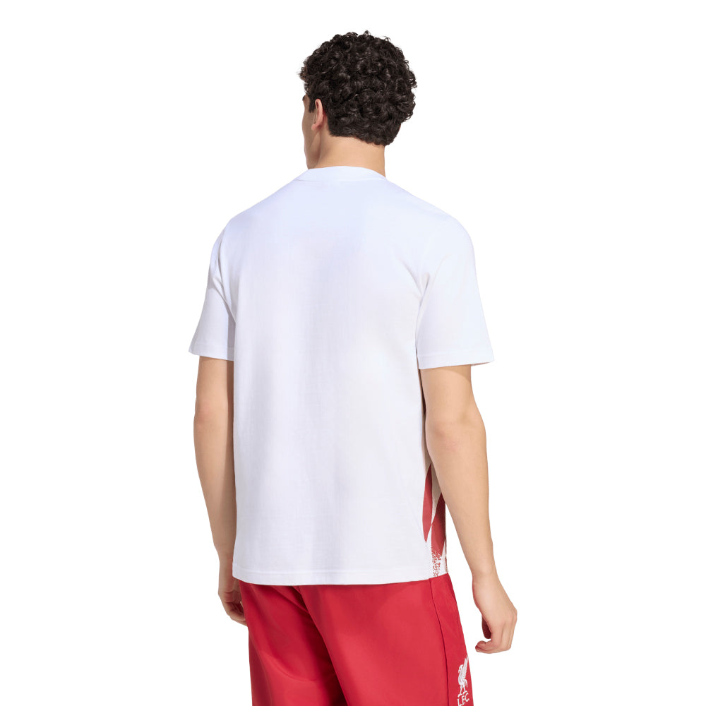 ADIDAS Liverpool FC Stadium Graphic เสื้อยืดผู้ชาย