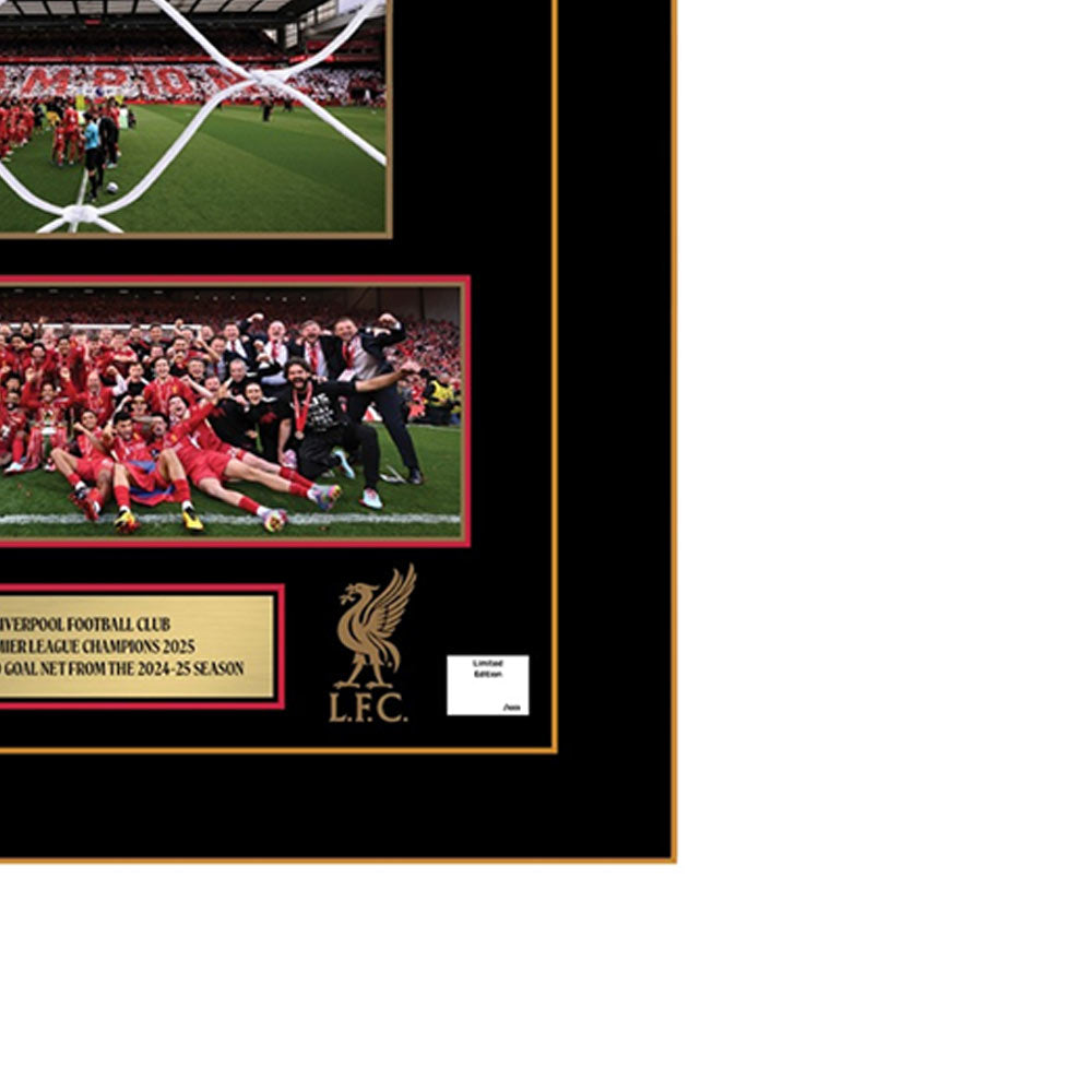 LFC Premier League Goal Net Framed