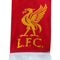 LFC Player: Darwin Núñez Unisex Scarf