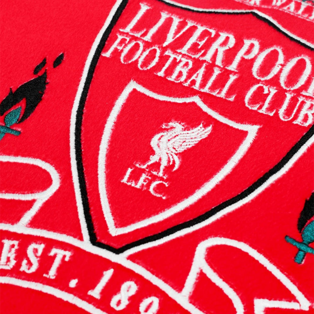 LFC 50 X 50cm Cushion