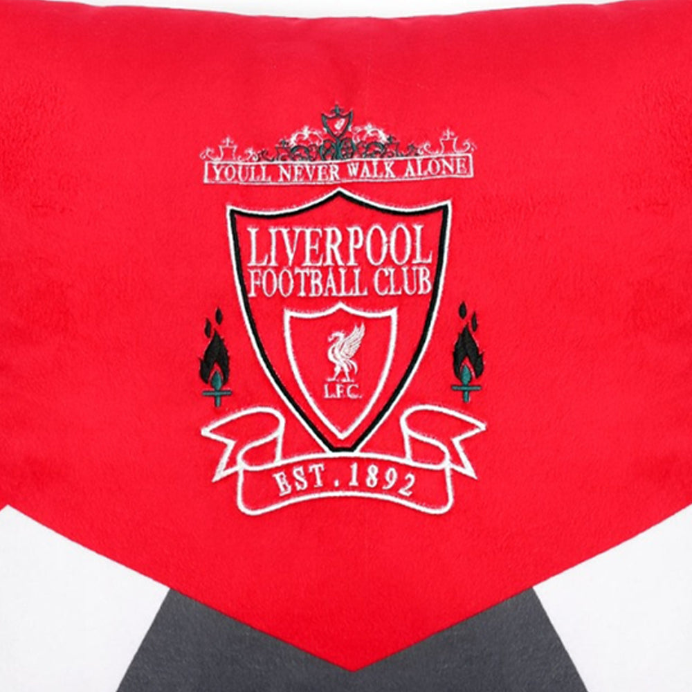 LFC 50 X 50cm Cushion