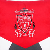 LFC 50 X 50cm Cushion