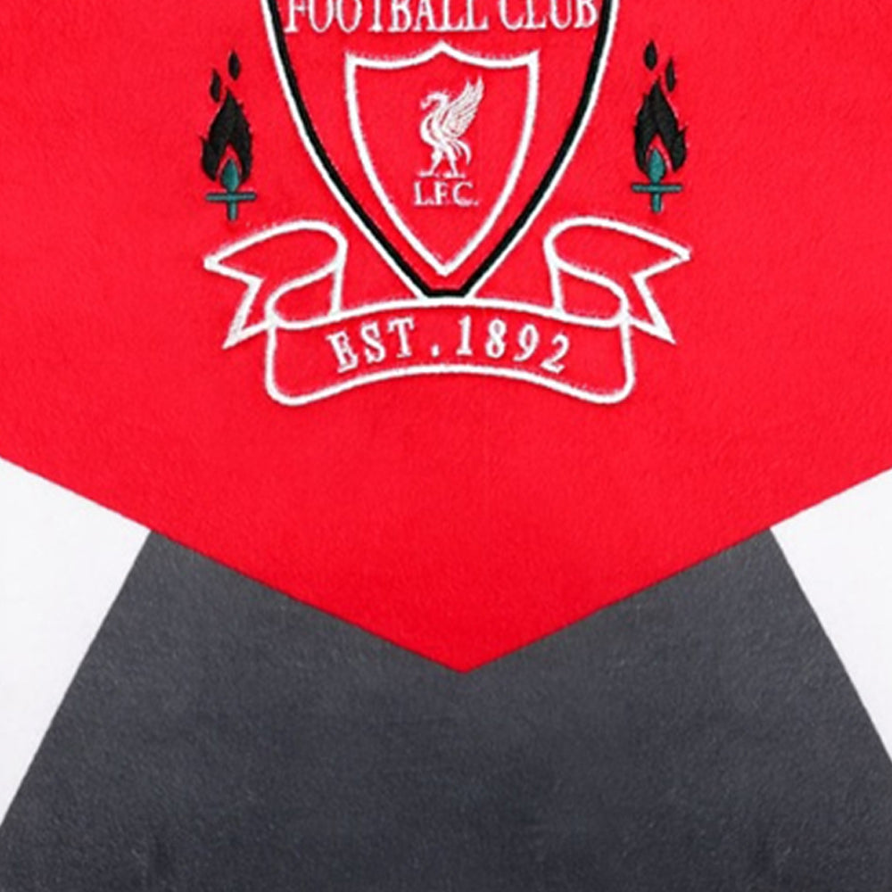 LFC 50 X 50cm Cushion