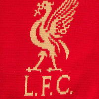 LFC EPL Champions 2024/25 Unisex Scarf