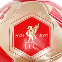 LFC Champions Football Size 1 Football ball