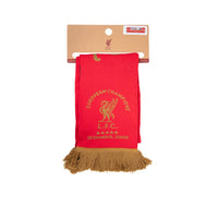 LFC Istanbul 2005 Montage ผ้าพันคอผู้ใหญ่