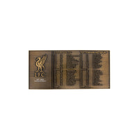 LFC Champions League Final 2019 Collectible Ticket