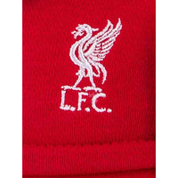 LFC Virgil Van Dijk ตุ๊กตานักฟุตบอล