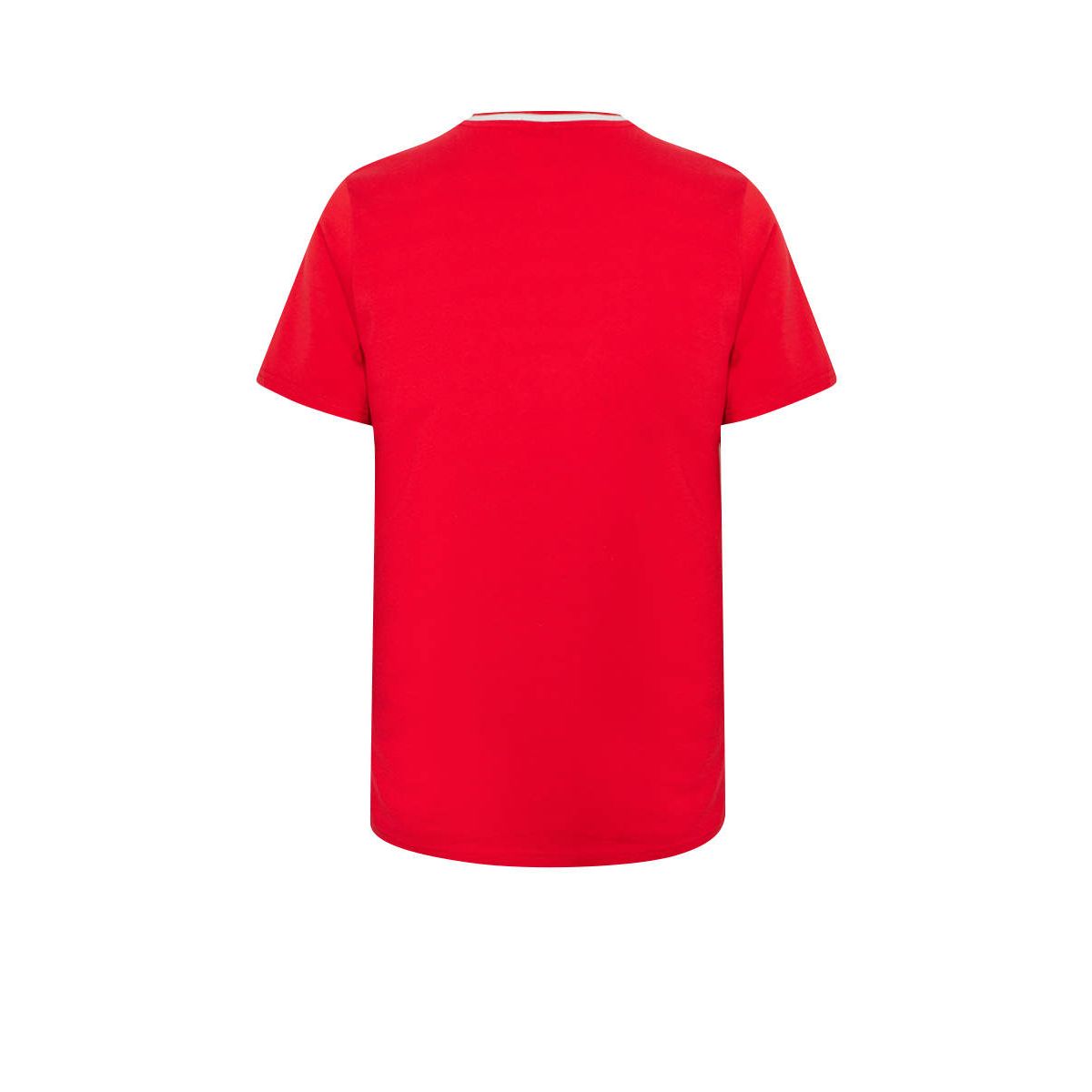 LFC 1989 Home Stripe Men's Football T-Shirt