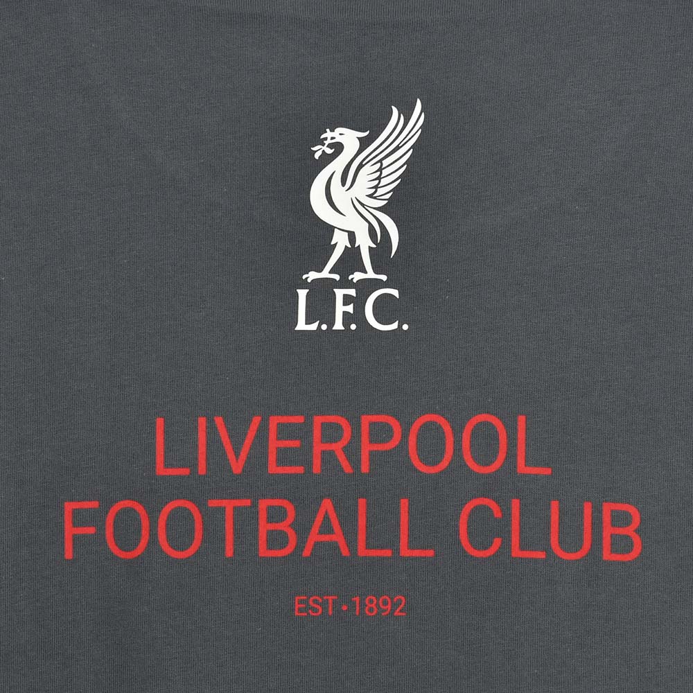 LFC TS002 เสื้อยืดผู้ชาย